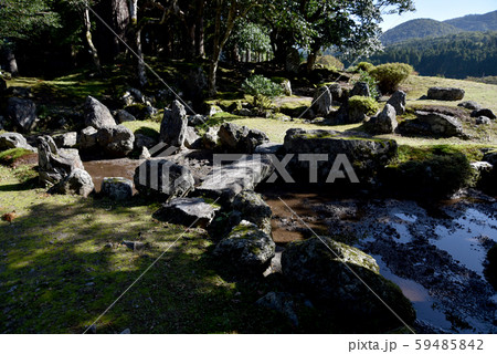 興聖寺　足利庭園 59485842
