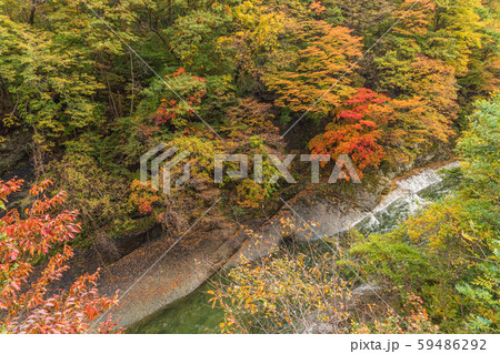 秋の湯瀬渓谷 秋の湯瀬渓谷 59486292