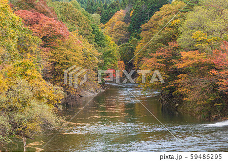 秋の湯瀬渓谷 秋の湯瀬渓谷 59486295