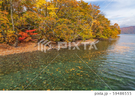 秋の十和田八幡平国立公園 十和田湖 秋の十和田八幡平国立公園 十和田湖 59486555