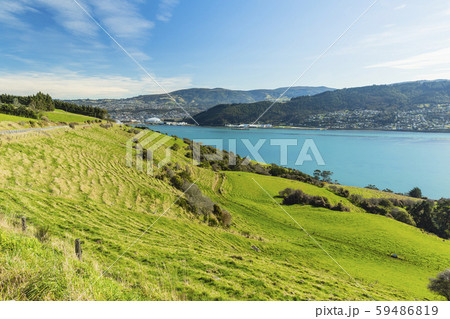 ニュージーランド ダニーデン 展望台からのオタゴ港 ニュージーランド ダニーデン 展望台からのオタゴ港 59486819