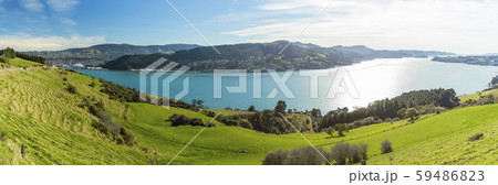 ニュージーランド　ダニーデン　展望台からのオタゴ港 59486823