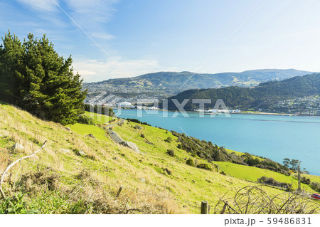 ニュージーランド　ダニーデン　展望台からのオタゴ港 59486831