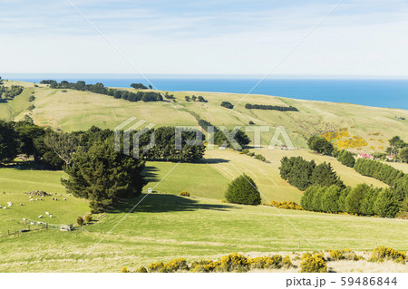 ニュージーランド　ダニーデン　展望台からの風景 59486844