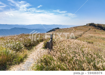 秋の生石高原 秋の生石高原 59486974