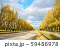 前田森林公園の黄葉 59486978