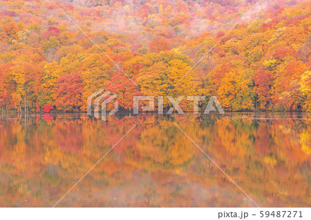 秋の十和田八幡平国立公園　蔦沼 59487271