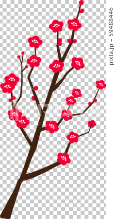 新年早春梅 59488446