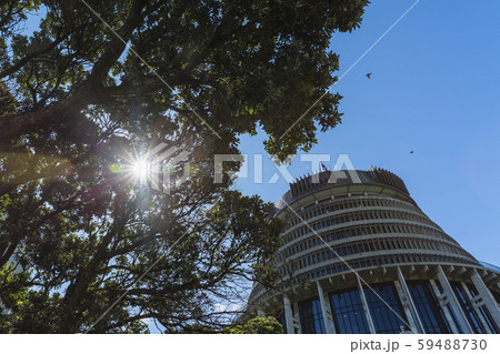 ニュージーランド ウェリントン ビーハイブ ニュージーランド ウェリントン ビーハイブ 59488730