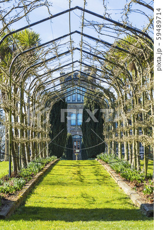 ニュージーランド　ダニーデン　ラーナック城の庭園 59489714