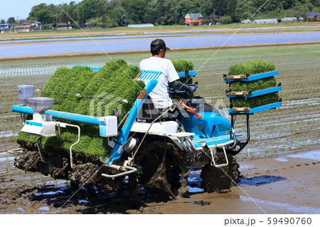 田植え機で田植えをする男性 イメージ 田植え機で田植えをする男性 イメージ 59490760