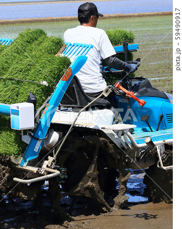 田植え機で田植えをする男性 イメージ 田植え機で田植えをする男性 イメージ 59490917