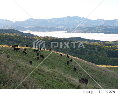 滝川市　丸加高原展望台 59492079