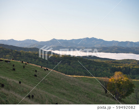 滝川市　丸加高原展望台 59492082