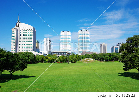 幕張海浜公園の広場と高層ビル（千葉市美浜区） 59492823