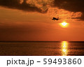 Airplane and sunset 59493860