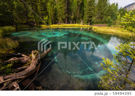 Geyser lake with thermal springs Geyser lake with thermal springs 59494395