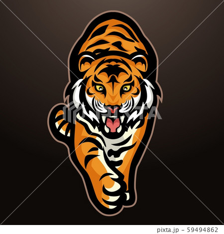 Angry Tiger Mascot Stock Illustration - Download Image Now - Tiger, Mascot,  Education - iStock