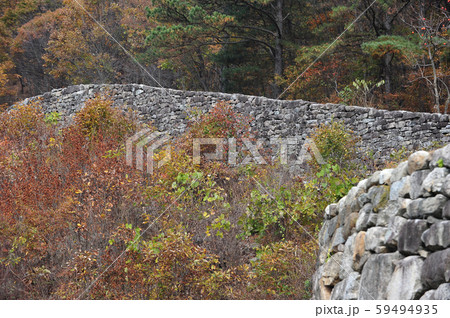 性 城 韓国 59494935