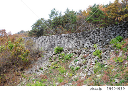性 城 韓国 59494939