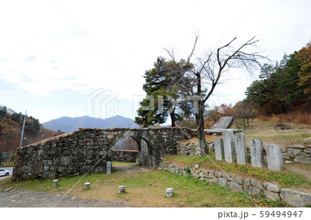 性 城 韓国 59494947