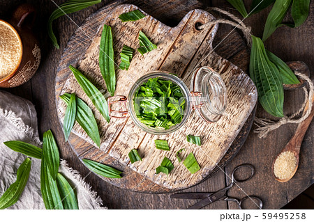 Preparation of ribwort plantain syrup against cough 59495258