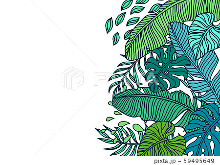 Background with palm leaves. Background with palm leaves. 59495649