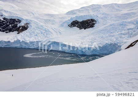 Neko Harbor Glacier  - Antarctic Peninsula - Antarctica 59496821
