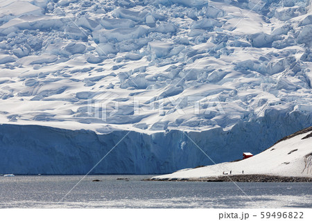 Neko Harbor Glacier - Antarctic Peninsula - Antarctica 59496822