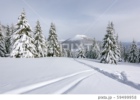 Fantastic winter landscape Fantastic winter landscape 59499958