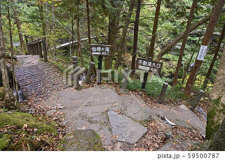付知峡 仙樽の滝と不動滝分岐(岐阜県中津川市付知町) 付知峡 仙樽の滝と不動滝分岐(岐阜県中津川市付知町) 59500787