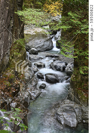 付知峡(岐阜県中津川市付知町) 付知峡(岐阜県中津川市付知町) 59500822