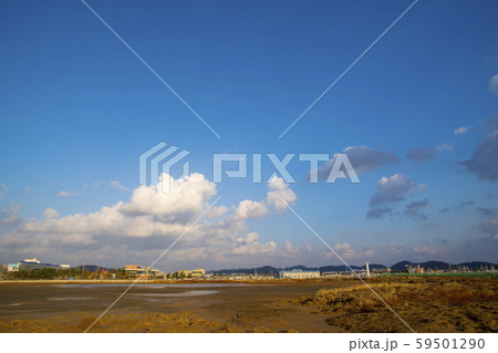 自然 風景 韓国 59501290