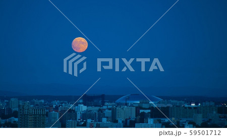 美しい札幌の夜景 美しい札幌の夜景 59501712