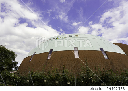 鳥取二十世紀梨記念館 なしっこ館 鳥取県倉吉市 鳥取二十世紀梨記念館 なしっこ館 鳥取県倉吉市 59502578