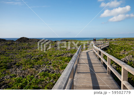 下地島通り池 59502779