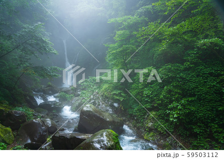 栃木県日光市 裏見ノ滝 (8月) 栃木県日光市 裏見ノ滝 (8月) 59503112