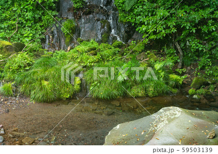 栃木県日光市 荒沢川 (8月) 栃木県日光市 荒沢川 (8月) 59503139