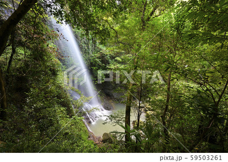 次の滝（和歌山県有田郡） 59503261