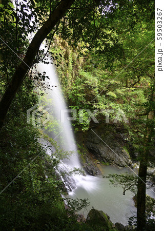 次の滝（和歌山県有田郡） 59503267