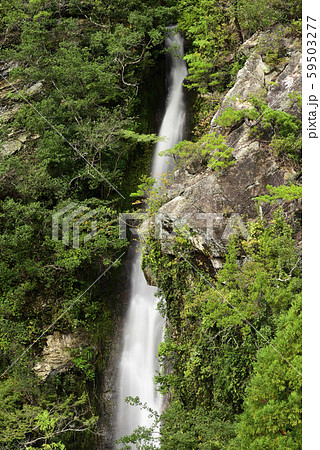 次の滝（和歌山県有田郡） 59503277