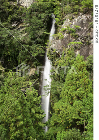 次の滝（和歌山県有田郡） 59503278