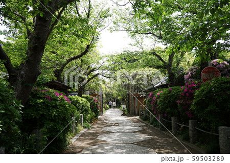 宝戒寺 Houkaiji temple 宝戒寺 Houkaiji temple 59503289