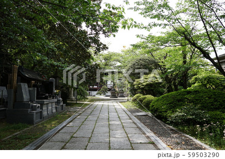 長勝寺　Chosyouji temple 59503290
