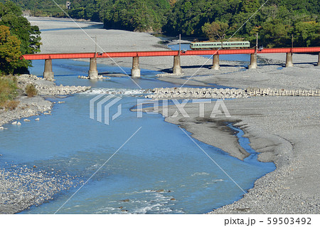 大井川第一橋梁を渡る電車 59503492
