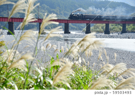 大井川第一橋梁を渡るSL列車 大井川第一橋梁を渡るSL列車 59503493