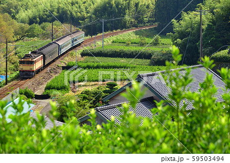 ELかわね路号 59503494