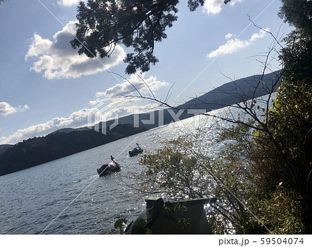 芦ノ湖スワン 59504074