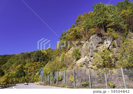 （長野県）木曽路開田高原・九蔵峠の紅葉 59504842