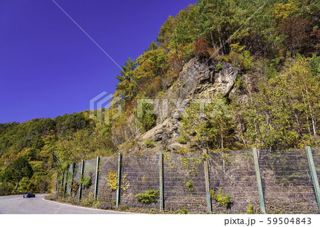 (長野県)木曽路開田高原・九蔵峠の紅葉 (長野県)木曽路開田高原・九蔵峠の紅葉 59504843